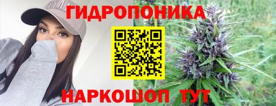 ALPHA-PVP Камышлов
