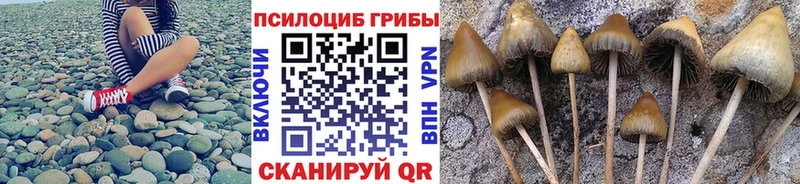 Псилоцибиновые грибы мухоморы  закладки  мега как зайти  Светлоград 