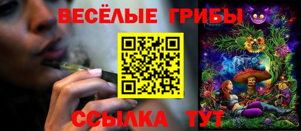 Псилоцибиновые грибы Psilocybine cubensis Светлоград