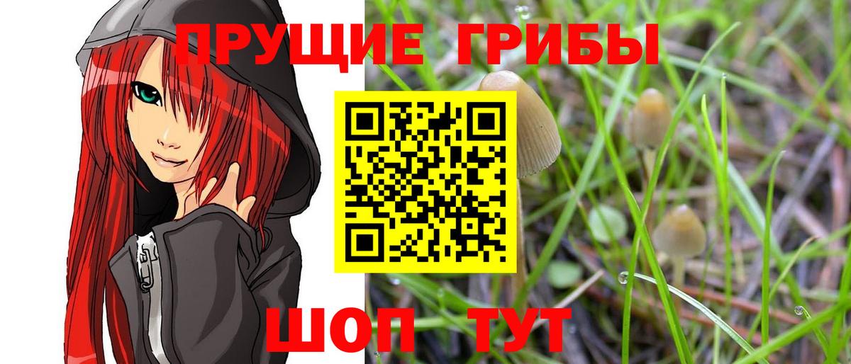 Галлюциногенные грибы мицелий  Псилоцибиновые грибы мухоморы  Вход с VPN  Светлоград 